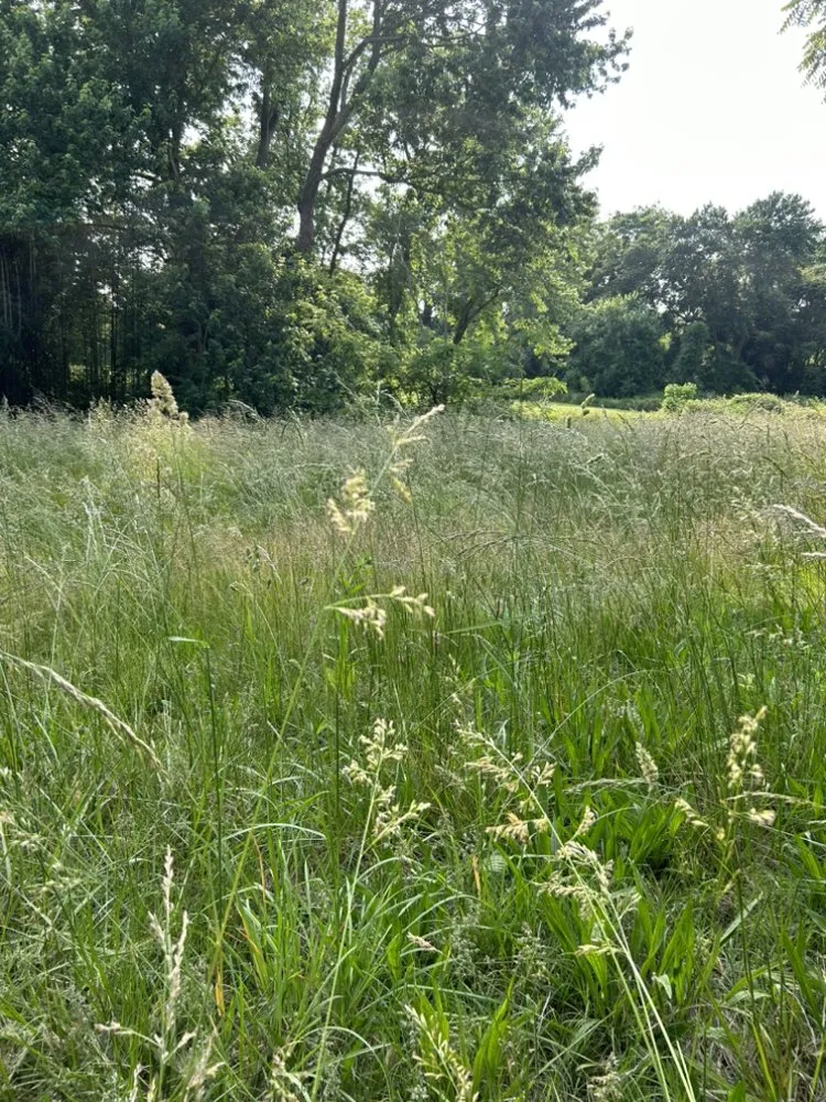 Professional outdoor landscaping in Seaford, DE - D & M Express Handyman Services