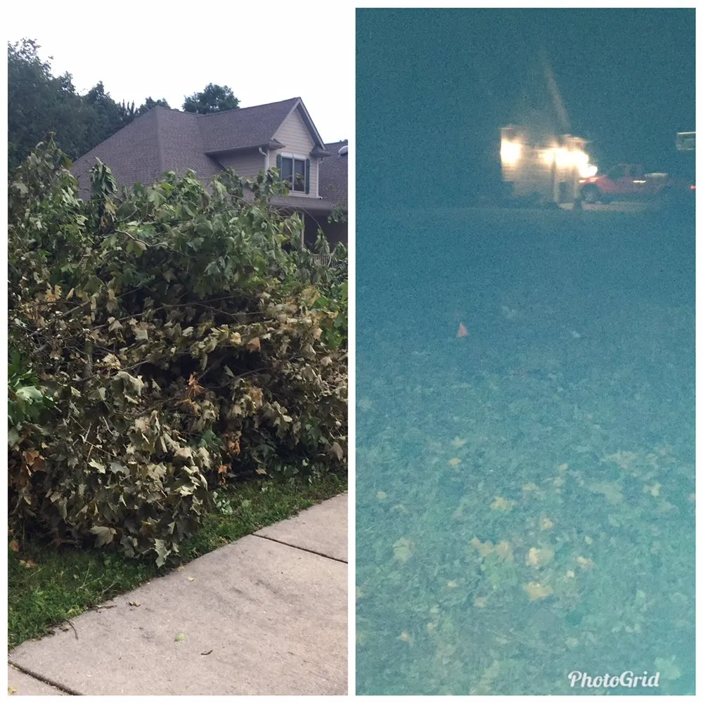 Custom yard maintenance experts serving Slinger, WI - D & M Landscaping and Handyman Service