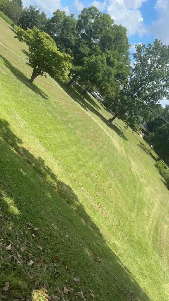 Reliable landscape installation in Trinity, AL by D & M Lawncare