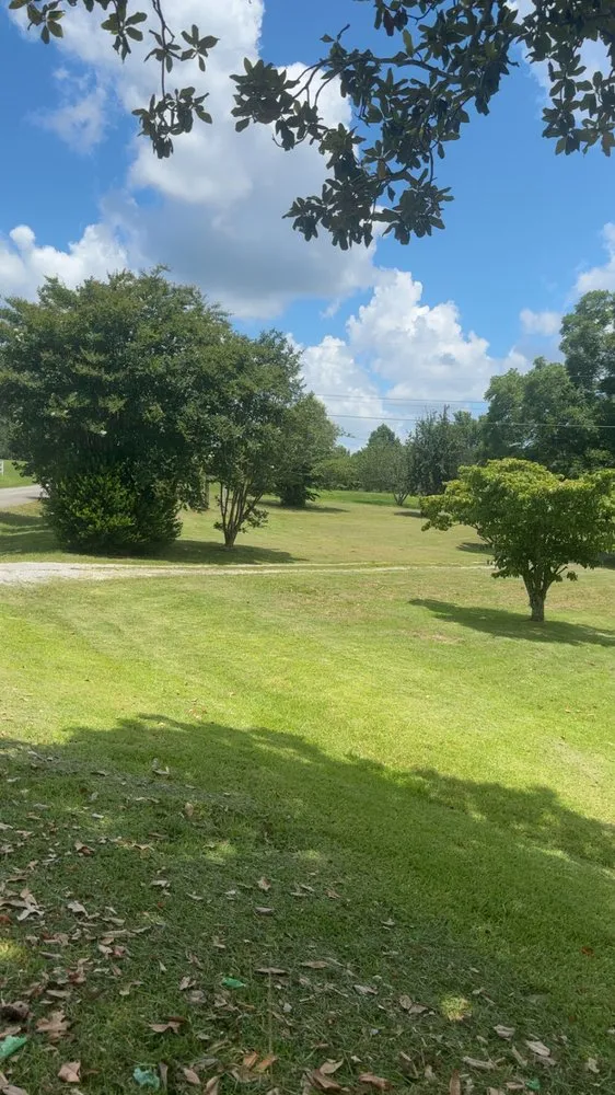 Expert yard cleanup service in Trinity, AL by D & M Lawncare