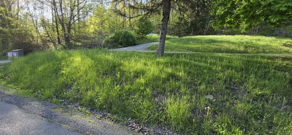 Reliable yard cleanup service for residential properties in Glen Hope, PA by D & M's Lawn Care Services