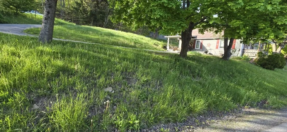 Expert lawn care service in Glen Hope, PA by D & M's Lawn Care Services