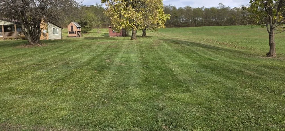 Custom yard cleanup service in Glen Hope, PA - D & M's Lawn Care Services