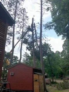 Trusted landscape design for outdoor upgrades in Menahga, MN by D & N Landscaping And Tree Service