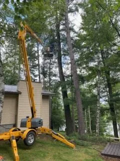 Local yard maintenance in Menahga, MN - D & N Landscaping And Tree Service