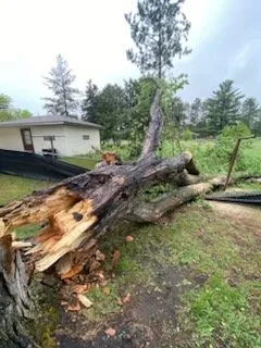 Local lawn mowing service experts serving Menahga, MN - D & N Landscaping And Tree Service