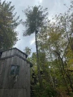 Affordable residential landscaping in Menahga, MN by D & N Landscaping And Tree Service