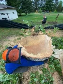 Custom yard maintenance in Menahga, MN by D & N Landscaping And Tree Service