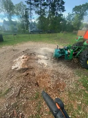 D & N Landscaping And Tree Service