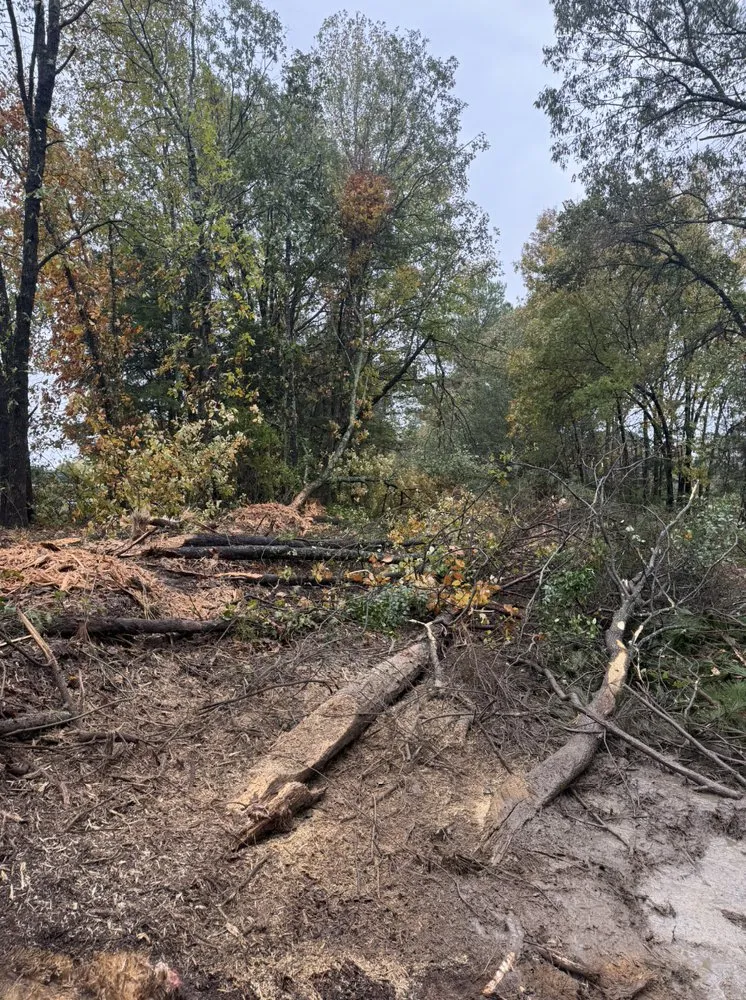 Local landscape installation in Marshall, TX - D & R Land Services