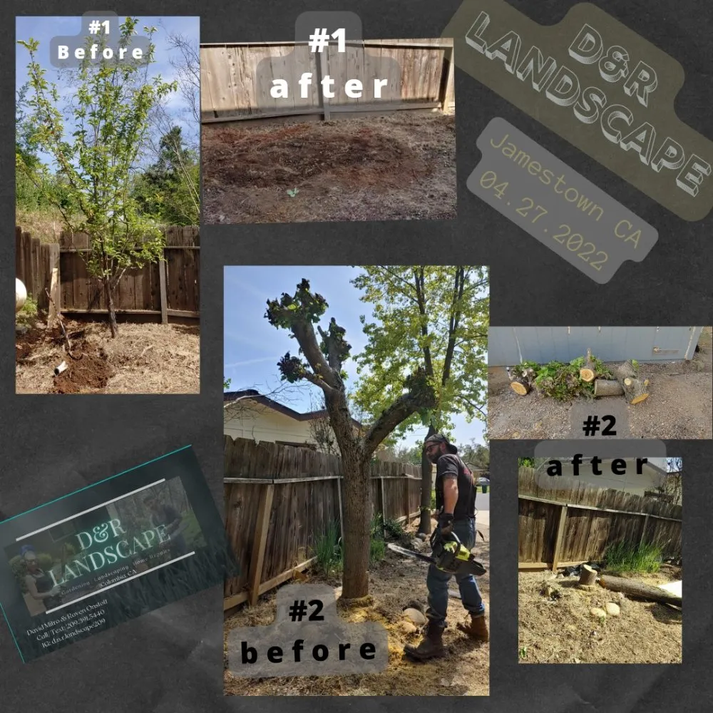 Professional landscaping services in Columbia, CA by D & R Landscape