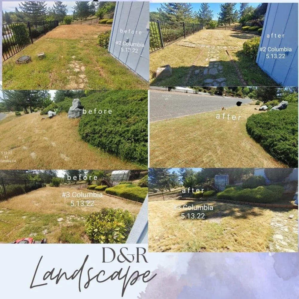 Local yard maintenance in Columbia, CA - D & R Landscape