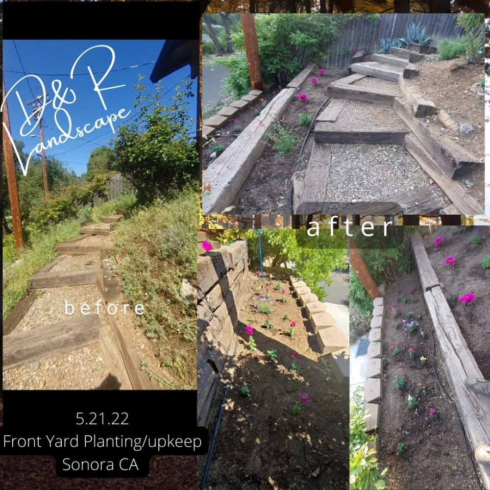Custom yard maintenance in Columbia, CA by D & R Landscape