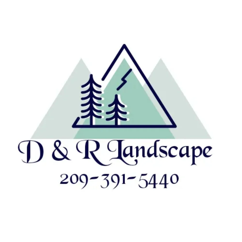 Reliable yard cleanup service in Columbia, CA by D & R Landscape