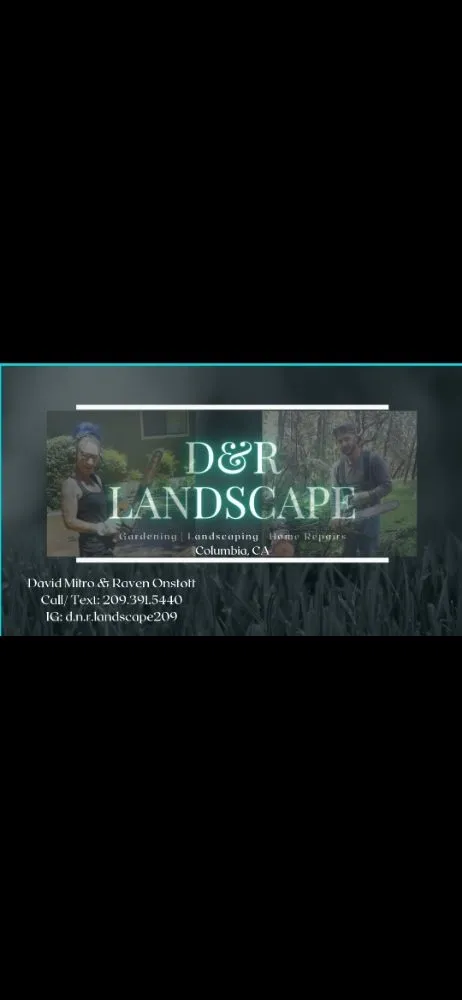 Custom outdoor landscaping for year-round maintenance in Columbia, CA by D & R Landscape