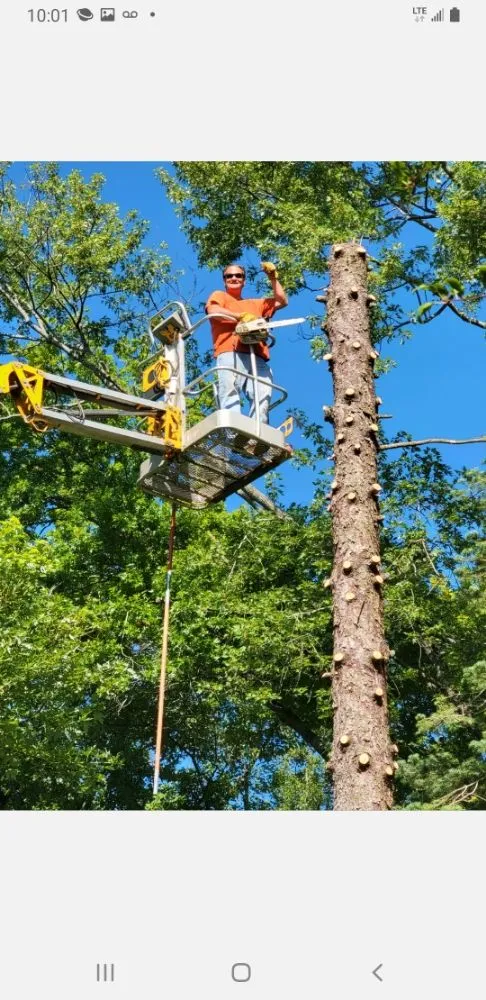 Trusted yard cleanup service in South Beloit, IL by D & R Landscape Services