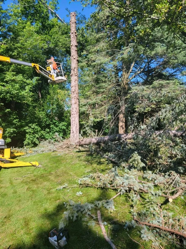 Top-rated outdoor landscaping for homes in South Beloit, IL by D & R Landscape Services