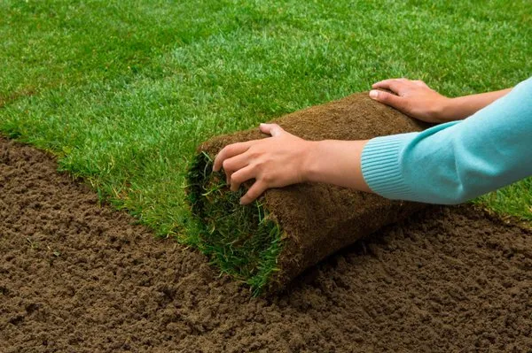 D & R Landscape Services