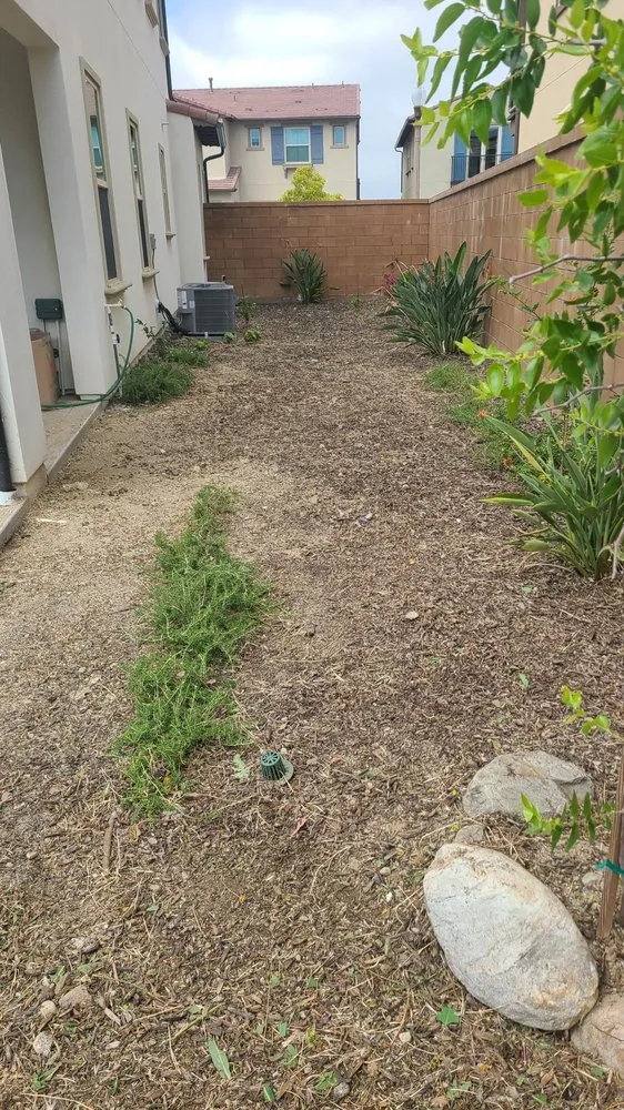 Custom yard maintenance in Tustin, CA by D & R Landscape