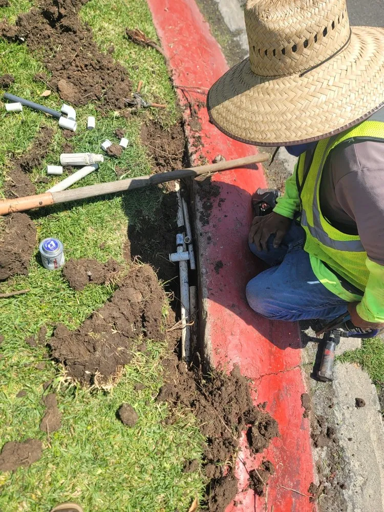 Custom yard maintenance in Tustin, CA by D & R Landscape