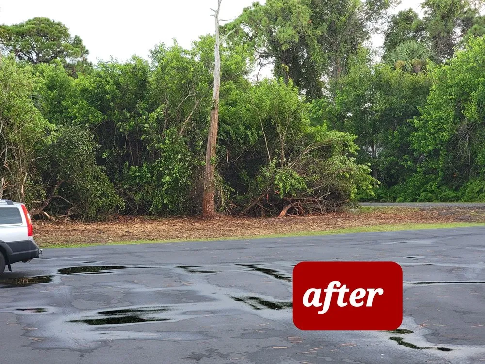 Professional landscape installation for beautiful yards across Fort Pierce, FL - D & R Landscaping & Excavation