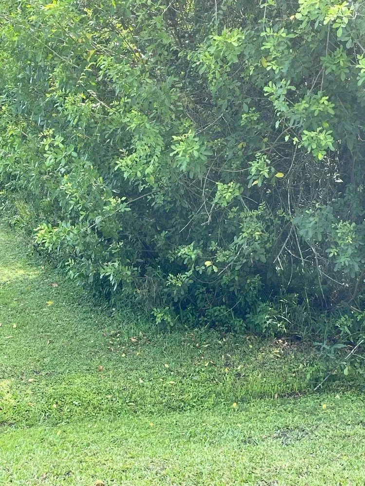 Reliable yard maintenance near you across Fort Pierce, FL - D & R Landscaping & Excavation