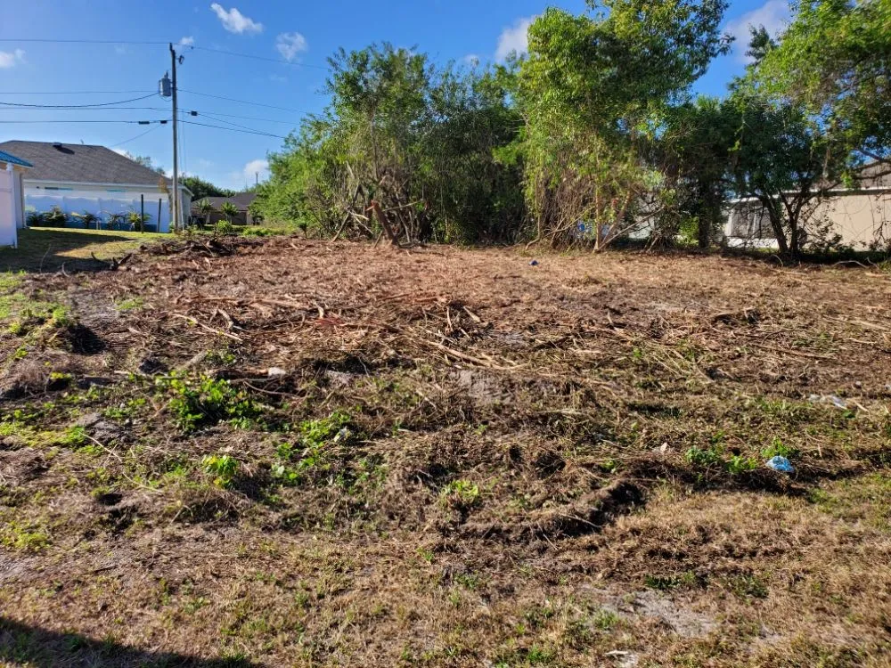 Professional yard cleanup service with custom design in Fort Pierce, FL by D & R Landscaping & Excavation