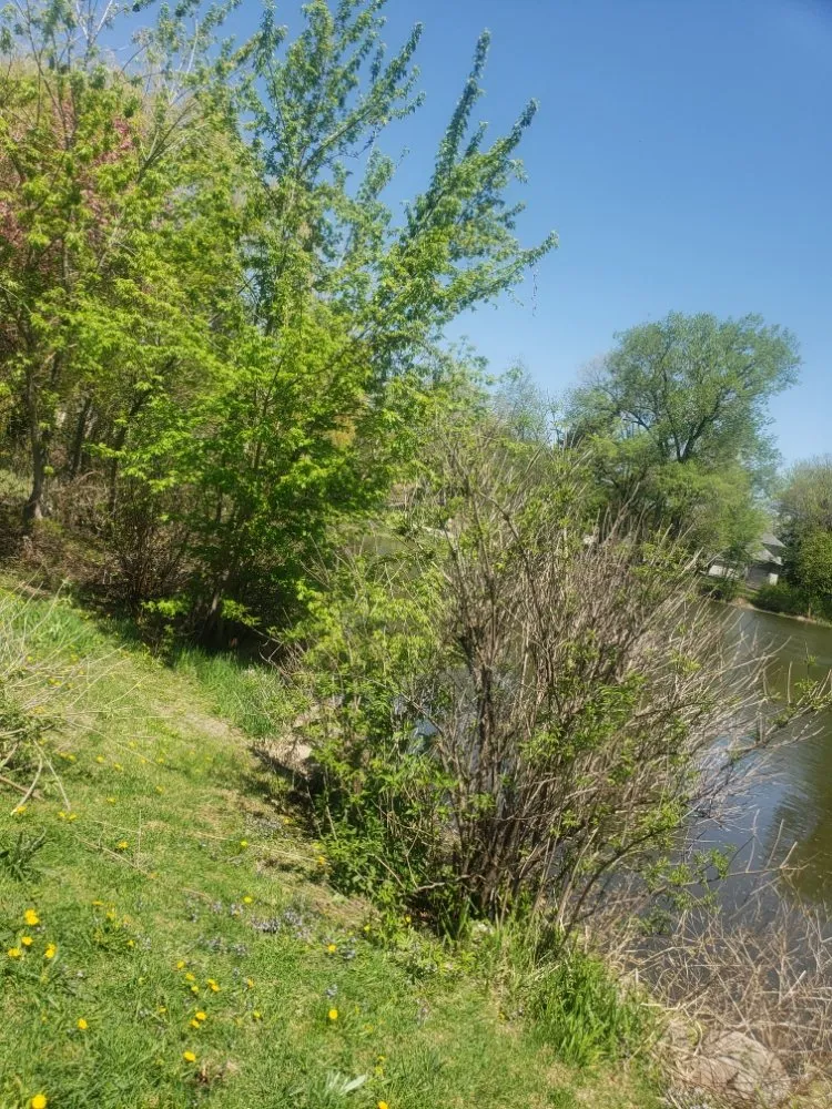 Top-rated lawn mowing service in Minneapolis, MN - D & R Landscaping