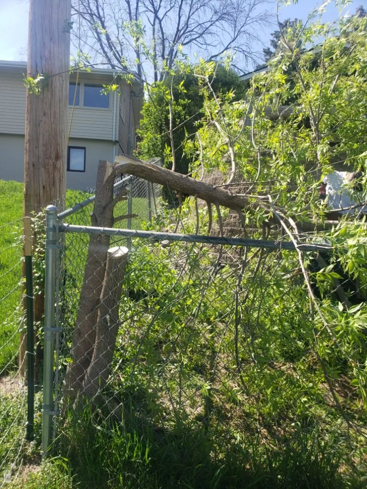 Affordable residential landscaping in Minneapolis, MN - D & R Landscaping