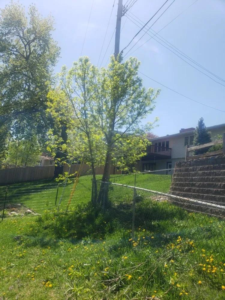 Trusted lawn mowing service in Minneapolis, MN by D & R Landscaping