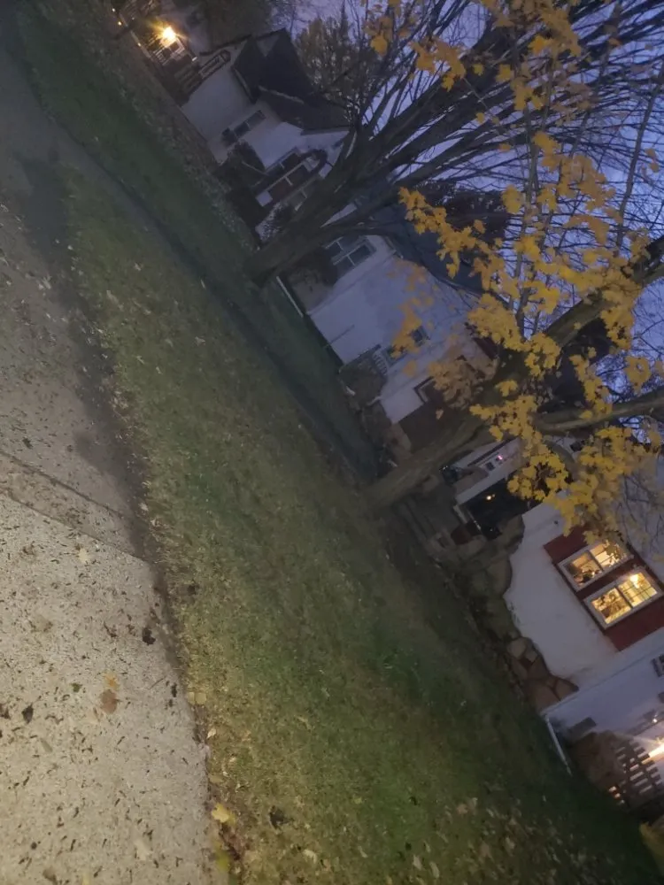 Top-rated lawn care service in Minneapolis, MN - D & R Landscaping