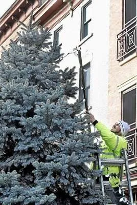 Custom landscape design near you across Malta, NY - D & R Lawn & Landscaping