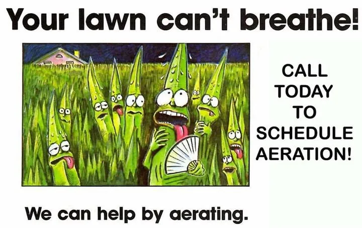 Expert yard maintenance in Malta, NY by D & R Lawn & Landscaping