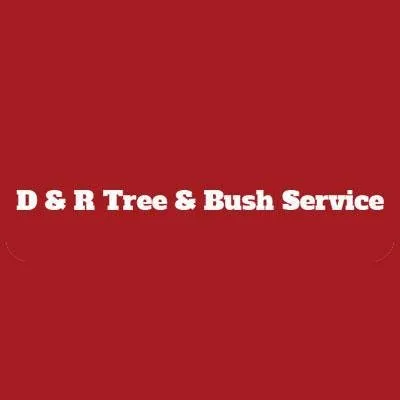 Expert yard maintenance with custom design across Petersburg, IL - D & R Tree & Bush Service