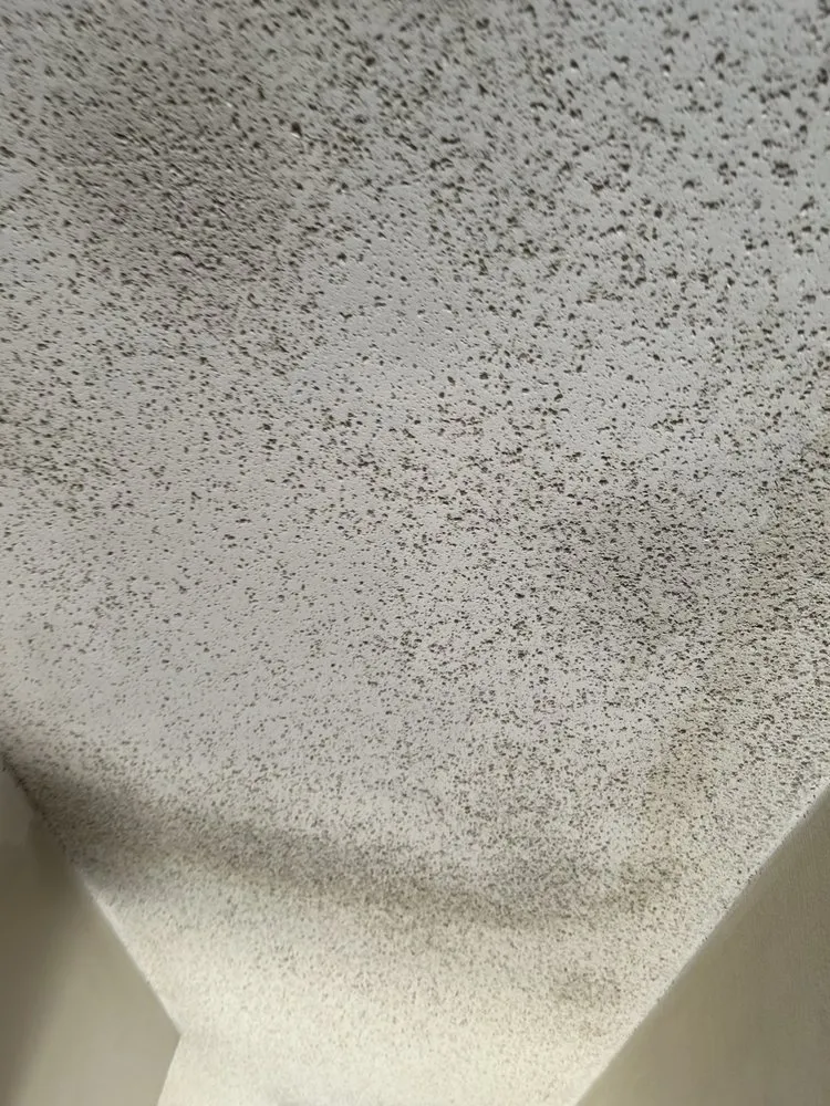 Top-rated landscape design in Universal city, TX by D & S Lawn Concepts