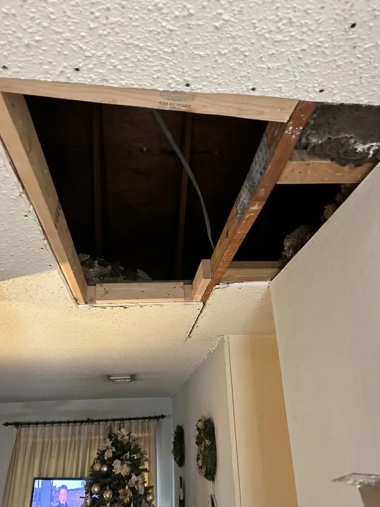 Professional yard cleanup service in Universal city, TX by D & S Lawn Concepts