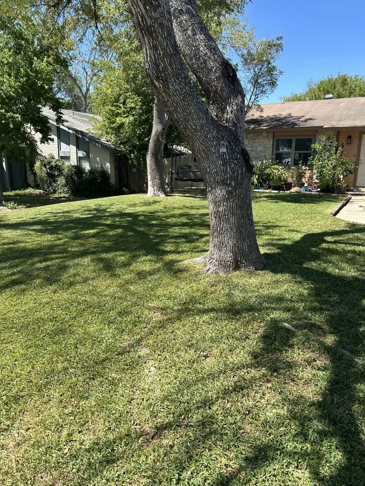 Custom landscaping services experts serving Universal city, TX - D & S Lawn Concepts