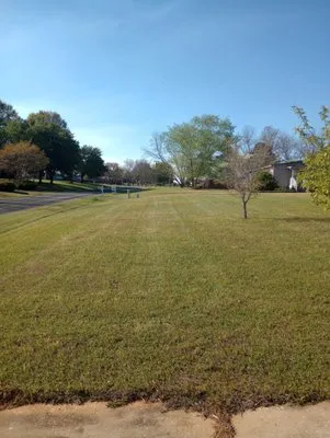 D & S Lawn Services Logo