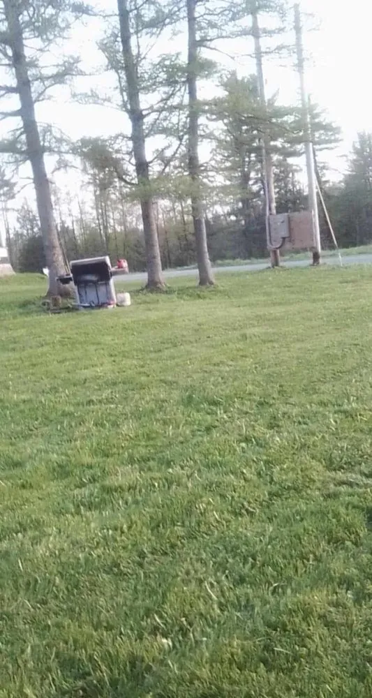 Affordable landscape installation experts serving Gloversville, NY - D & S Lawn Services