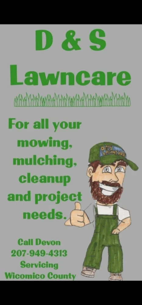 Professional landscape design for year-round maintenance across Salisbury, MD - D & S Lawncare