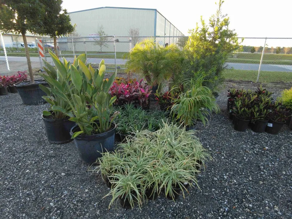 Expert landscape design in St. Augustine, FL - D & S Outoor Supply Company