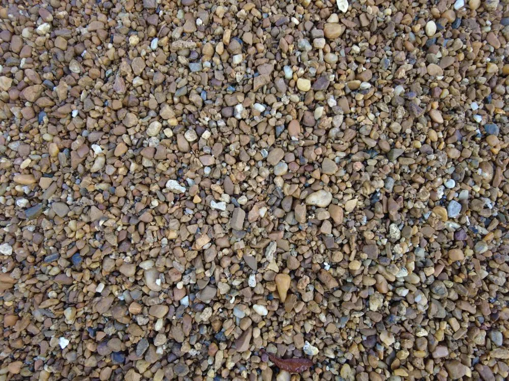 Professional yard cleanup service in St. Augustine, FL by D & S Outoor Supply Company