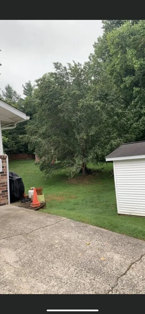 Custom lawn care service in Ellettsville, IN - D & S Stump Removal & Landscaping