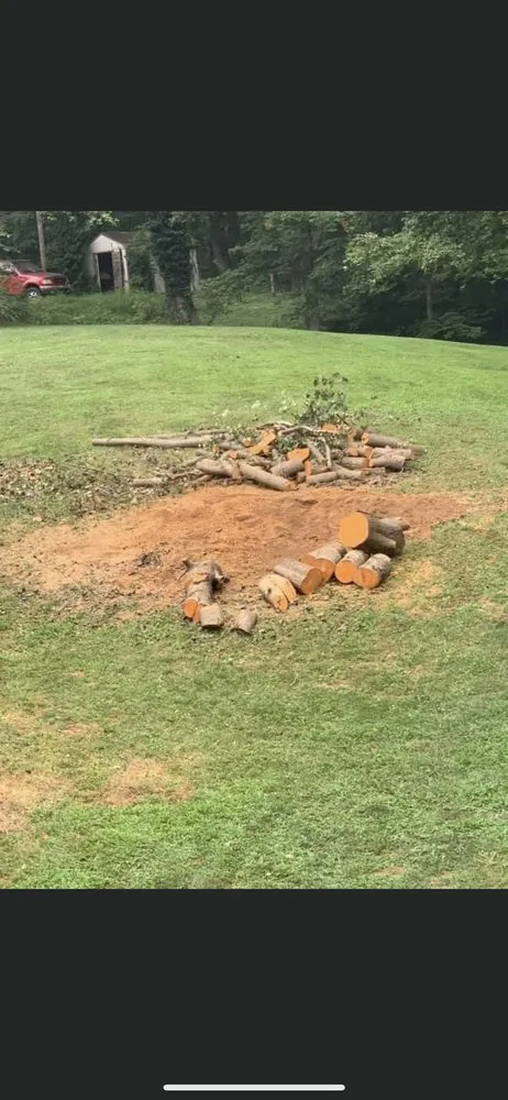 Top-rated lawn mowing service near you across Ellettsville, IN - D & S Stump Removal & Landscaping