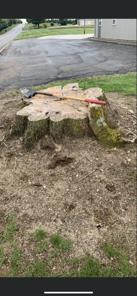 Trusted yard cleanup service in Ellettsville, IN by D & S Stump Removal & Landscaping