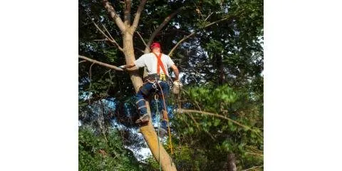 Professional landscape installation in Coweta, OK by D & S Tree Service