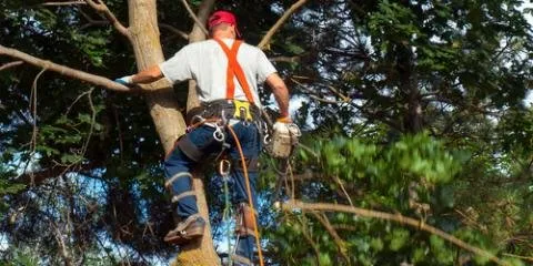 Affordable outdoor landscaping in Coweta, OK - D & S Tree Service