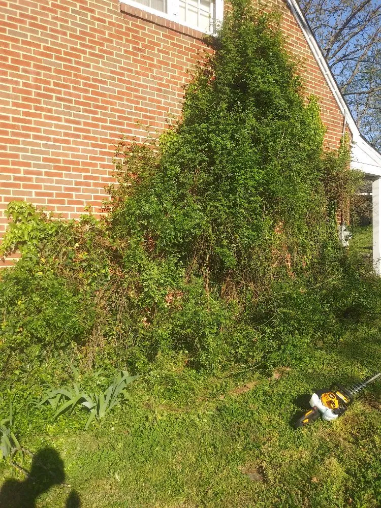 Affordable residential landscaping in Roanoke, VA by D & Son's Landscaping