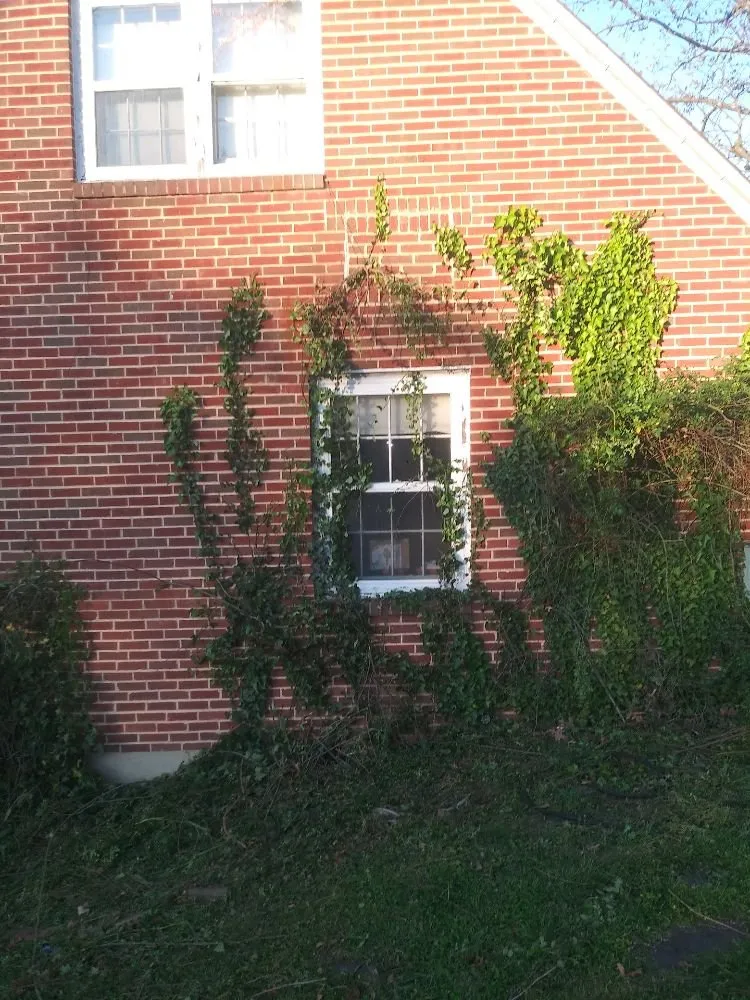 Reliable landscape design for year-round maintenance across Roanoke, VA - D & Son's Landscaping