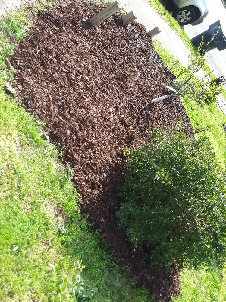 Trusted outdoor landscaping experts serving Roanoke, VA - D & Son's Landscaping